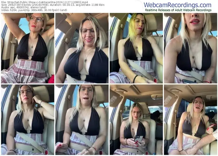 stripchat-gatitacarlita-12-27-2024-12-08-02