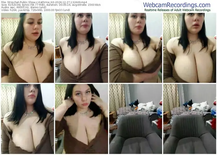 stripchat-kathrine_kit-12-27-2024-13-24-49