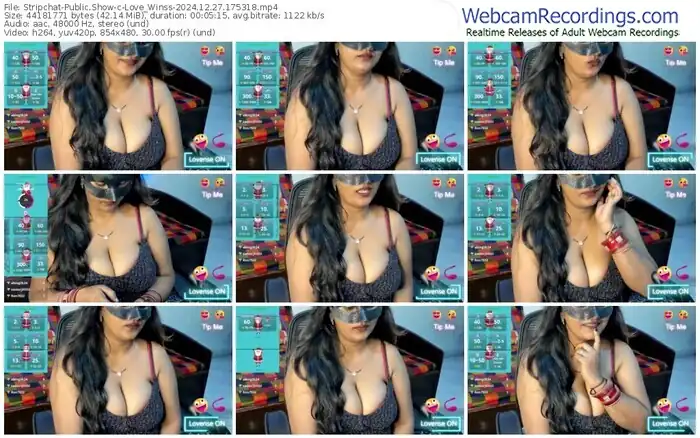 stripchat-love_winss-12-27-2024-17-53-18