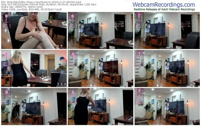 stripchat-yourmuselily-12-27-2024-09-33-42