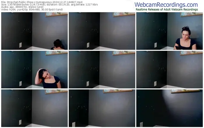 stripchat-yumiepussyy-12-27-2024-14-48-27