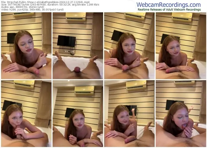 stripchat-elizabethgoddess-12-27-2024-11-29-41