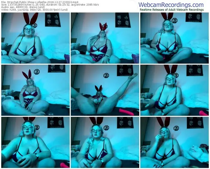 stripchat-ofeefox-12-27-2024-23-33-10