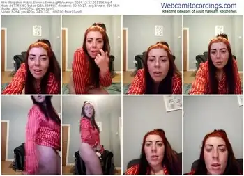 stripchat-thenaughtybunnyx-12-27-2024-01-53-56