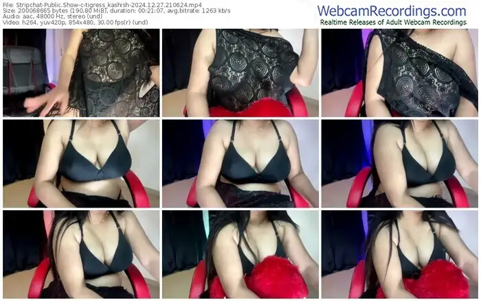 stripchat-tigress_kashish-12-27-2024-21-06-24