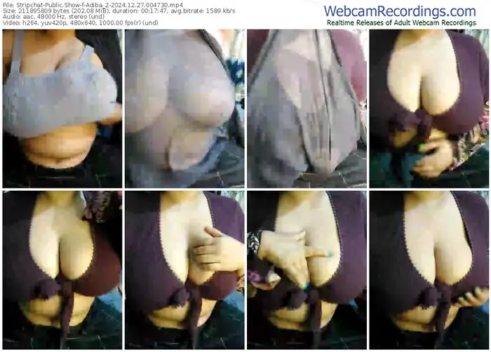 stripchat-adiba_2-12-27-2024-00-47-30