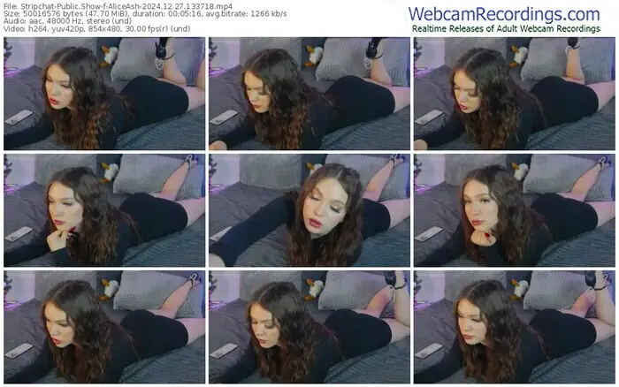 stripchat-aliceash-12-27-2024-13-37-18
