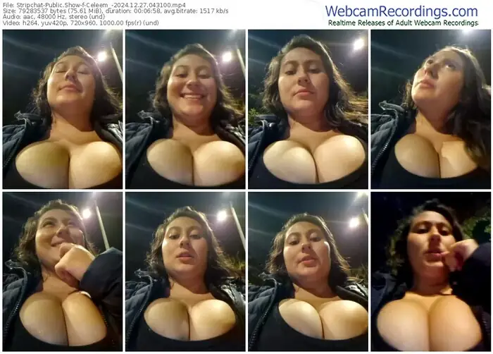 stripchat-celeem_-12-27-2024-04-31-00