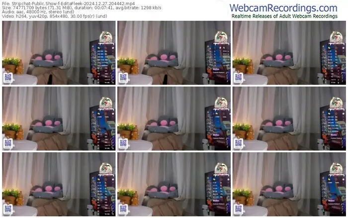 stripchat-editafleek-12-27-2024-20-44-42