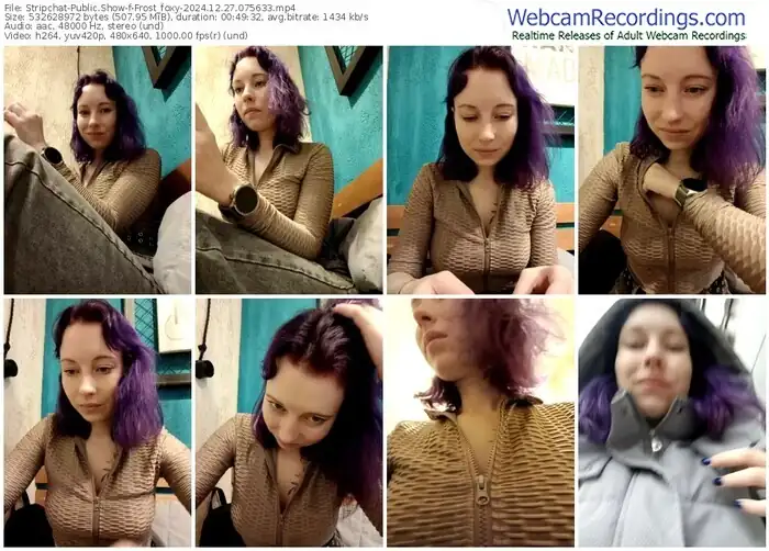 stripchat-frost_foxy-12-27-2024-07-56-33