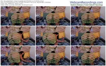 stripchat-giantbootymilf-12-27-2024-00-46-12