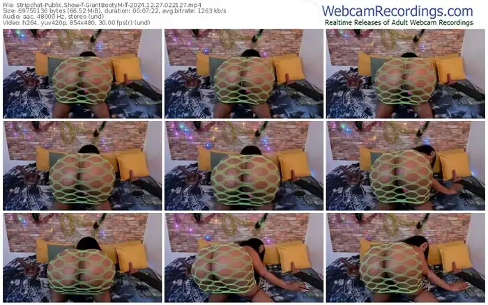 stripchat-giantbootymilf-12-27-2024-02-21-27