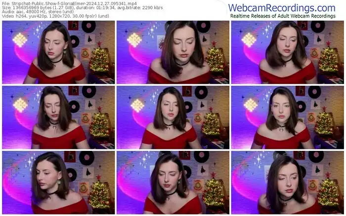 stripchat-gloriaelmer-12-27-2024-09-53-41
