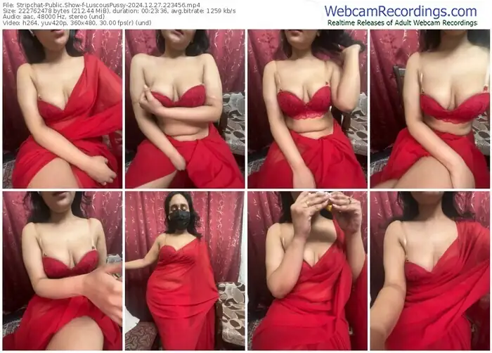 stripchat-luscouspussy-12-27-2024-22-34-56