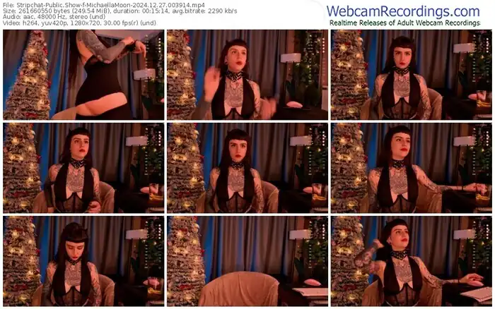 stripchat-michaellamoon-12-27-2024-00-39-14