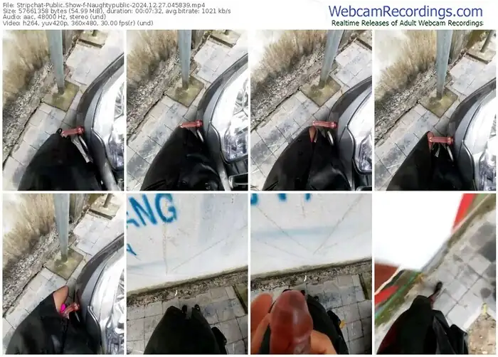 stripchat-naughtypublic-12-27-2024-04-58-39