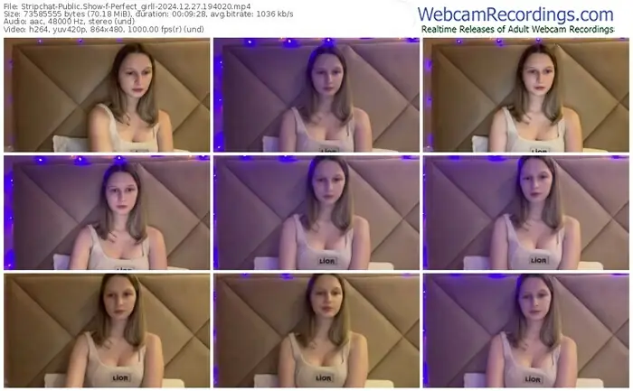 stripchat-perfect_girll-12-27-2024-19-40-20