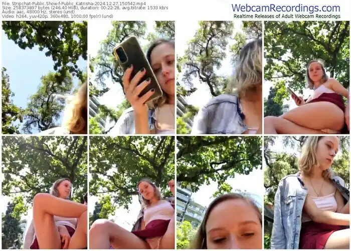 stripchat-public_katrisha-12-27-2024-15-05-42