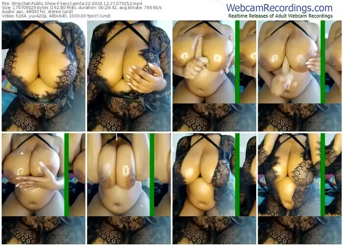 stripchat-sexycamila-22-12-27-2024-07-02-52