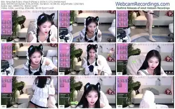 stripchat-sheep-1-12-27-2024-13-44-49