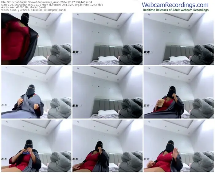 stripchat-submissive_arab-12-27-2024-19-44-40