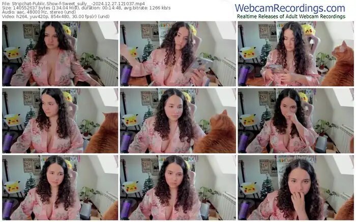 stripchat-sweet_sully__-12-27-2024-12-10-37