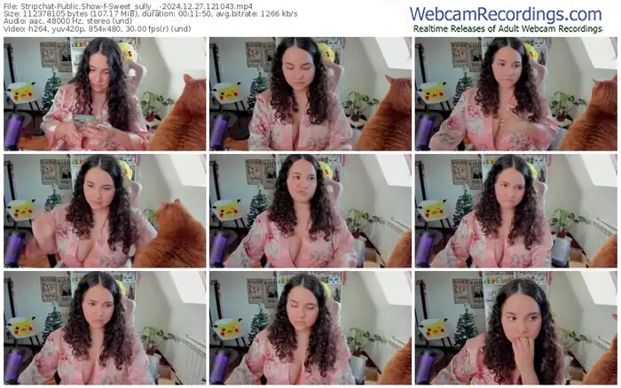 stripchat-sweet_sully__-12-27-2024-12-10-43