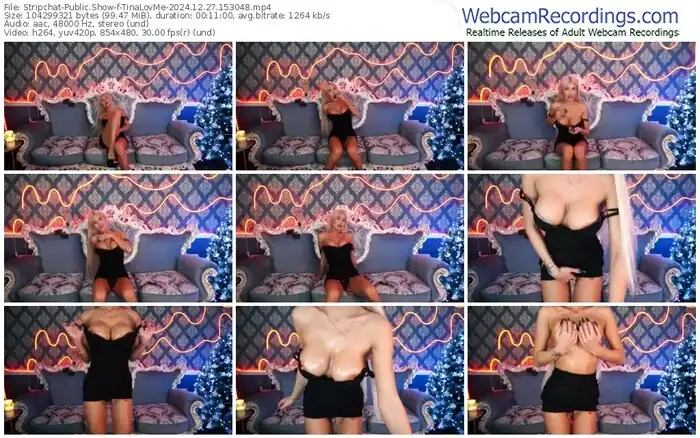 stripchat-tinalovme-12-27-2024-15-30-48