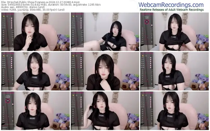 stripchat-vaness-a-12-27-2024-00-48-14