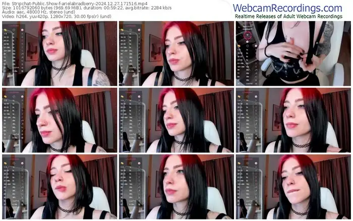 stripchat-arielabradberry-12-27-2024-17-15-16