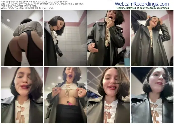 stripchat-meow_girl-12-27-2024-14-14-26