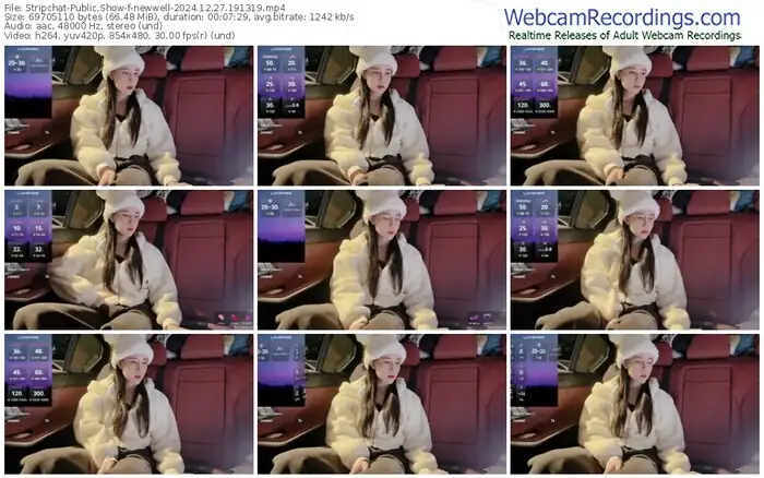 stripchat-newwell-12-27-2024-19-13-19