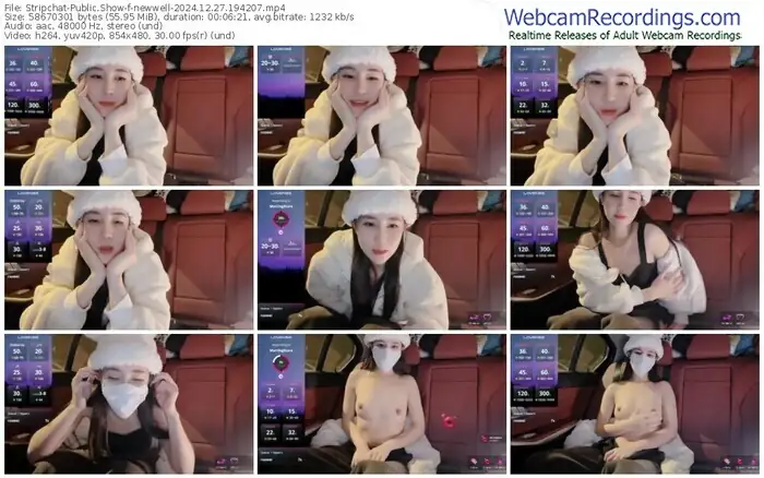 stripchat-newwell-12-27-2024-19-42-07