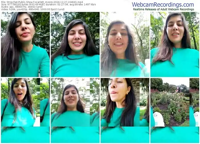 stripchat-scarlett_moore-12-27-2024-16-46-41
