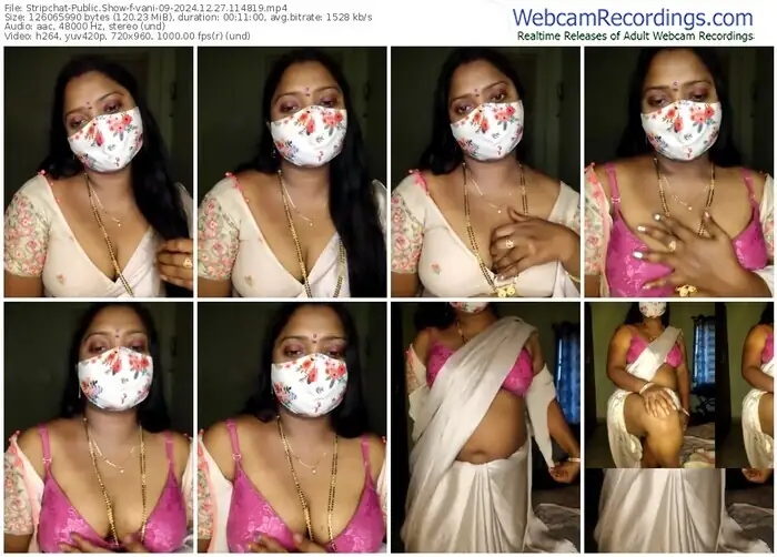 stripchat-vani-09-12-27-2024-11-48-19