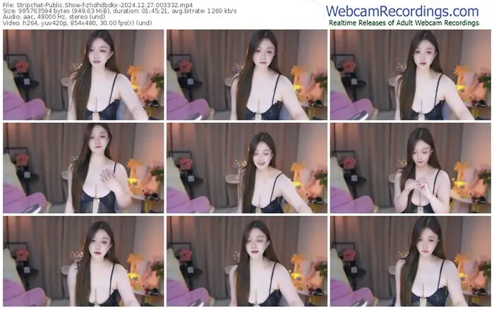 stripchat-zhdhdbdkx-12-27-2024-00-33-32
