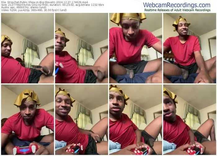 stripchat-big-steve01-12-27-2024-17-46-29