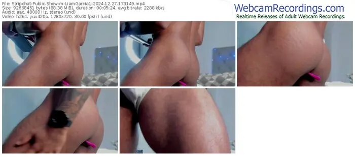 stripchat-liamgarcia1-12-27-2024-17-31-49
