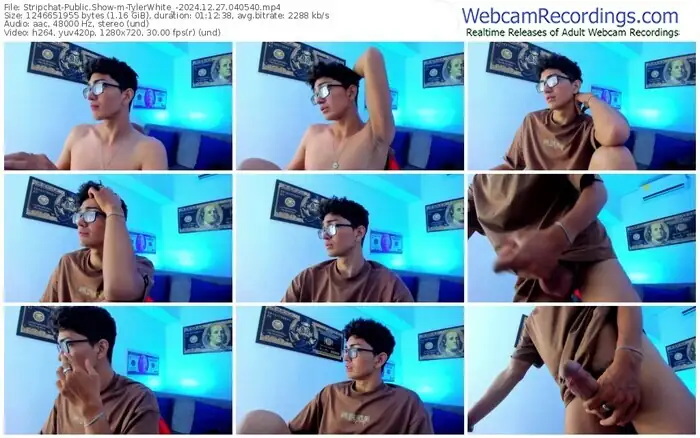 stripchat-tylerwhite_-12-27-2024-04-05-40