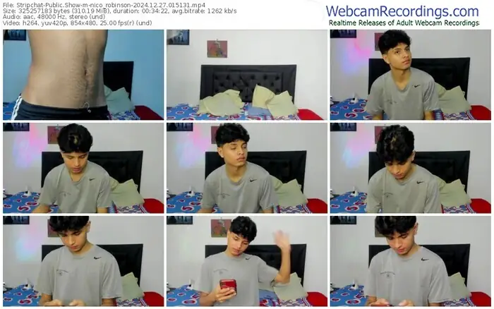 stripchat-nico_robinson-12-27-2024-01-51-31