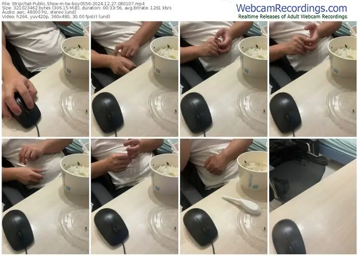 stripchat-tw-boy0556-12-27-2024-08-01-07