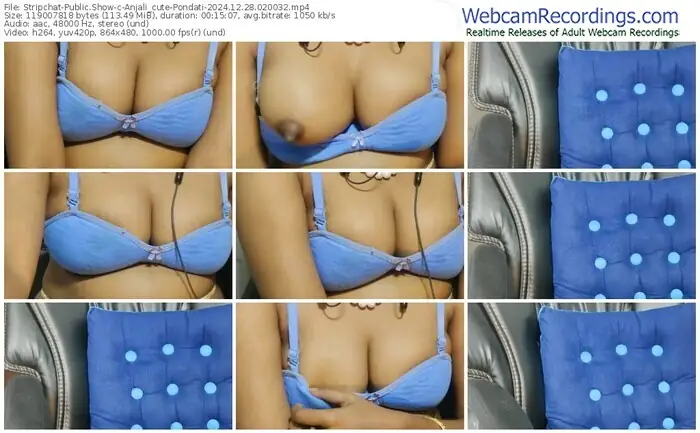 stripchat-anjali_cute-pondati-12-28-2024-02-00-32