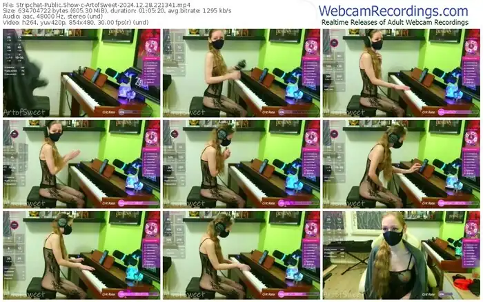 stripchat-artofsweet-12-28-2024-22-13-41