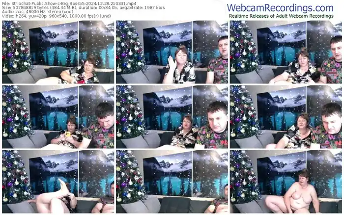 stripchat-big_boss55-12-28-2024-21-03-31