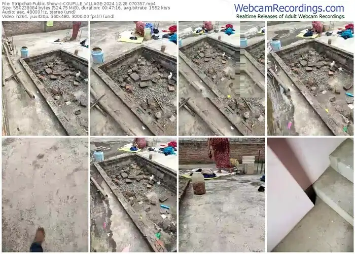 stripchat-couplle_village-12-28-2024-07-03-57