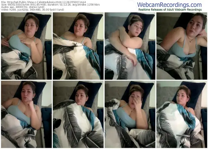 stripchat-celestedubois-12-28-2024-05-50-07