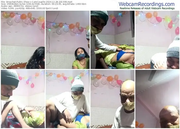 stripchat-cutecouplle-12-28-2024-20-13-08