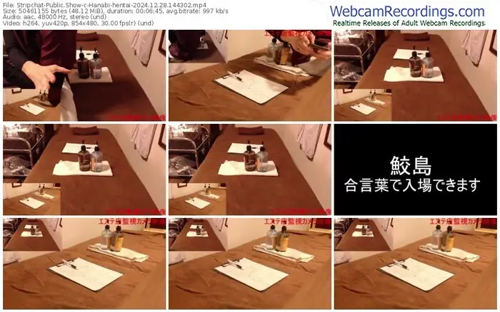 stripchat-hanabi-hentai-12-28-2024-14-43-02