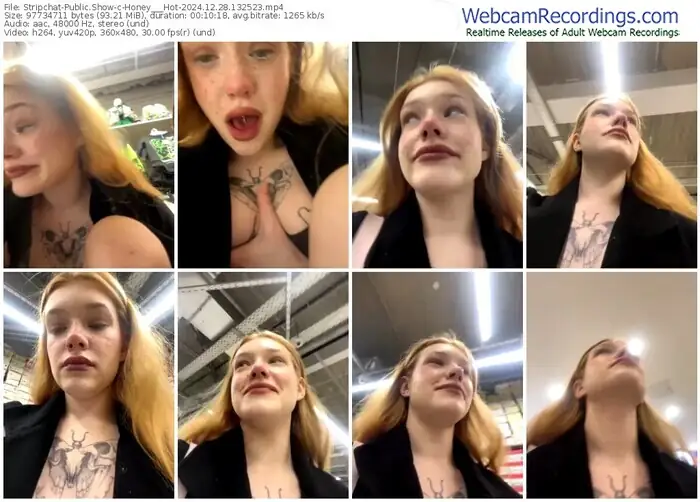 stripchat-honey___hot-12-28-2024-13-25-23