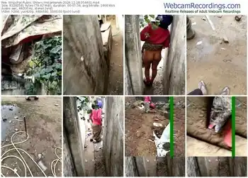 stripchat-indiankanak-12-28-2024-05-44-01